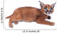 Blue-eyed Baby Caracal Wall Decal