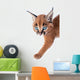 Baby Caracal Kitten Wall Decal