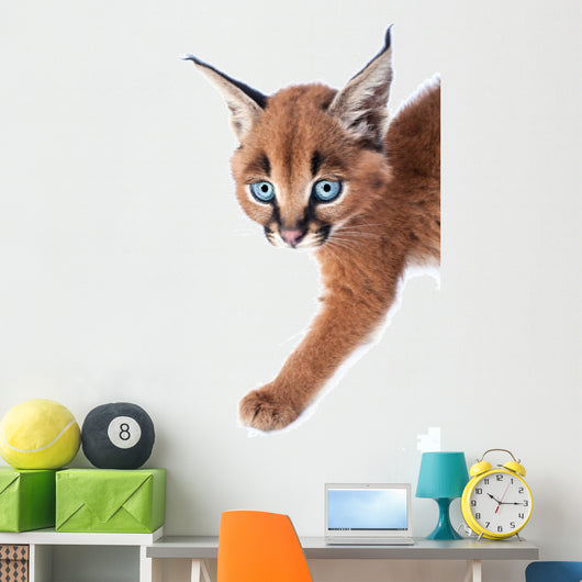 Baby Caracal Kitten Wall Decal