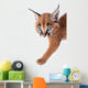 Baby Caracal Kitten Wall Decal
