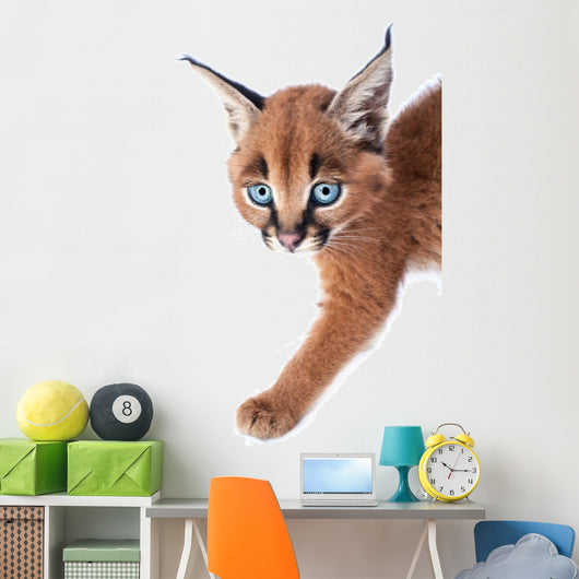 Baby Caracal Kitten Wall Decal