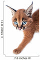 Baby Caracal Kitten Wall Decal