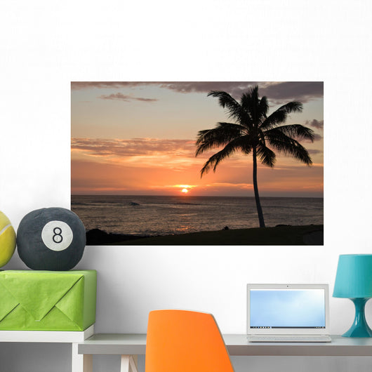 Sunset with single palm Wall Mural