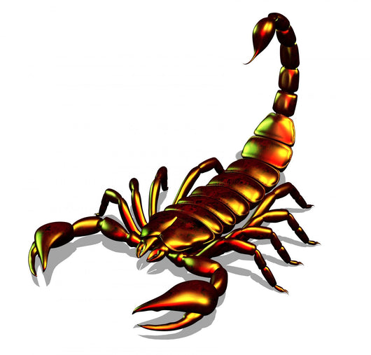 metallic scorpion Wall Decal