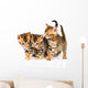 Three Bengal Kittens with Reflection on White Wall Decal