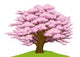 Cherrytree Wall Decal