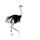 Ostrich sketch black for your design Wall Decal