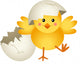 Chick Leaving Cracked Egg Wall Decal