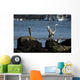 herons Wall Mural