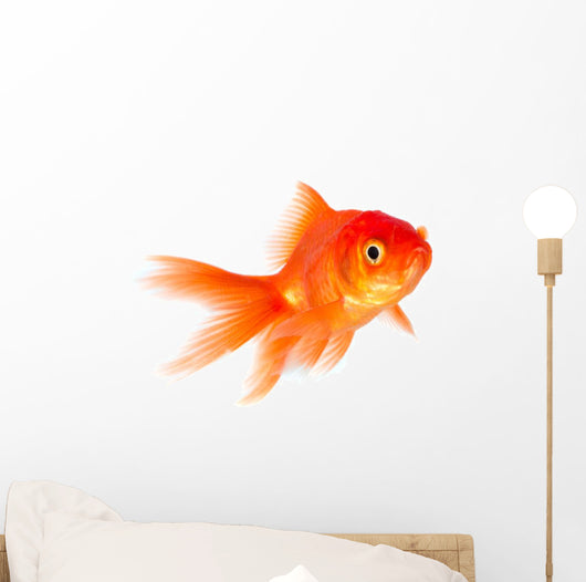 Goldfish Wall Decal