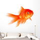 Goldfish Wall Decal