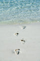 Footprints on a white beach 
