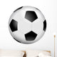 Soccer Ball 