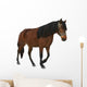 Brown Horse White Wall Decal