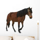 Brown Horse White Wall Decal