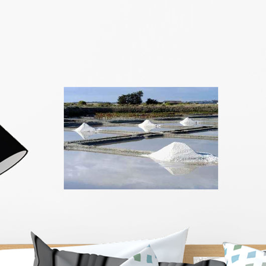 Marais Salant Wall Decal