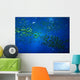 scenic view of the deep water creatures in aquariu Wall Mural