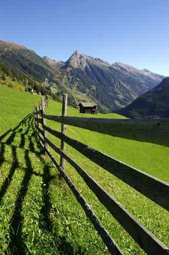 Fence Alpine Meadow Portrait Wall Decal