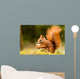 Squirrel With Nut 