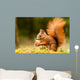 Squirrel With Nut 