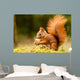 Squirrel With Nut 