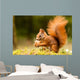 Squirrel With Nut 