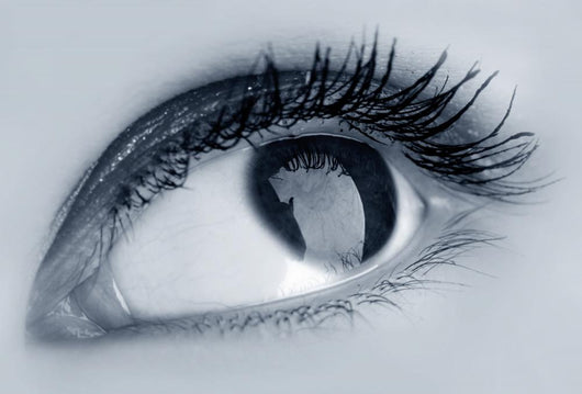 eye Wall Mural