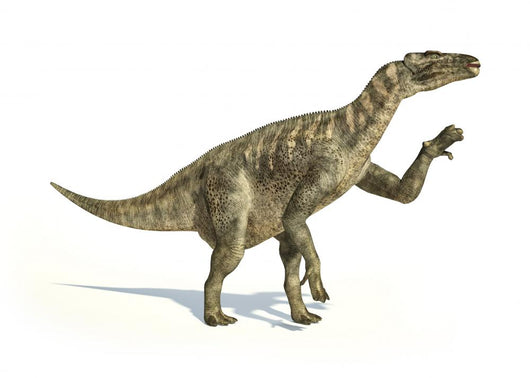 Iguanodon Dinosaur Photorealistic Representation Wall Decal