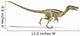 Velociraptor Dinosaur Wall Decal