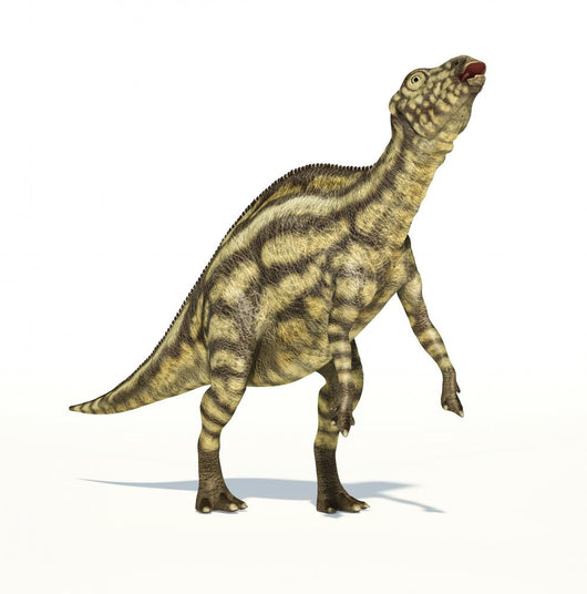 Maiasaura Dinosaur, Young Child, Photorealistic Representation. 