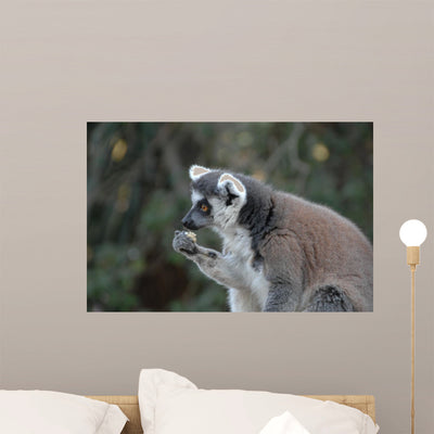 Lmurien Madagascar shown on a wall