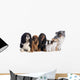 Six Dogs 