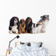 Six Dogs 