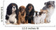 Six Dogs 