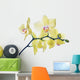 isolated fine lemon yellow orchids on branch Wall Decal