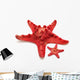 Red Sea Star 
