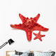 Red Sea Star 
