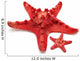 Red Sea Star 