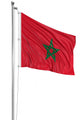 3D flag of Morocco 