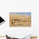 Prarie Coyote Wall Mural