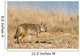 Prarie Coyote Wall Mural