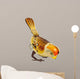 Retro Tin Toy Bird Isolated on White 