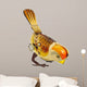 Retro Tin Toy Bird Isolated on White 