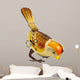 Retro Tin Toy Bird Isolated on White 
