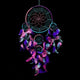 Dream Catchers 