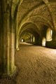 Vaulted ceilings in Fountains Abbey in North Yorkshire 