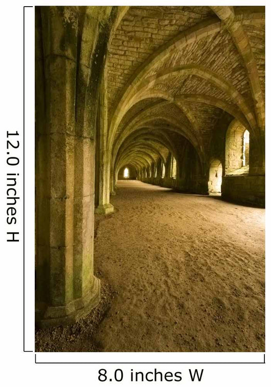 Vaulted ceilings in Fountains Abbey in North Yorkshire 