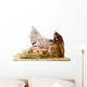 Chicken in nest with eggs isolated on white Wall Decal