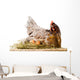 Chicken in nest with eggs isolated on white Wall Decal