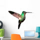 Tyrian Metaltail Hummingbird in Ecuador (white Background) 